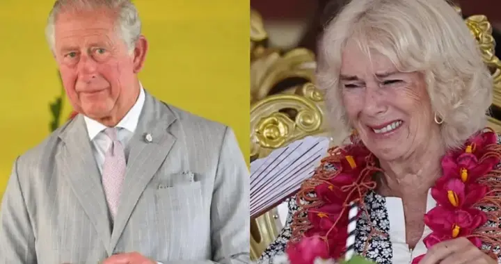 不容乐观！外媒爆77岁查尔斯病情恶化，已进入无法治愈阶段！