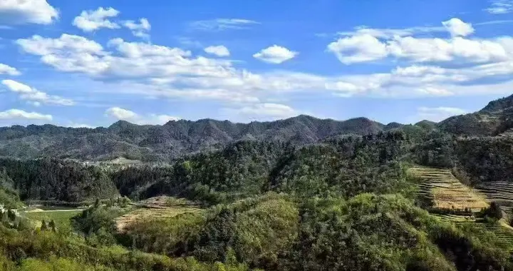 赚过、亏过、痛过，这才是大多数散户的日常！