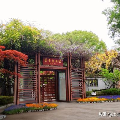 沐芸悦读成长：。