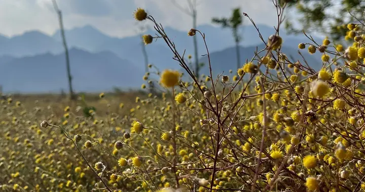 谈一谈上市公司业绩同比增减幅度对股价的影响