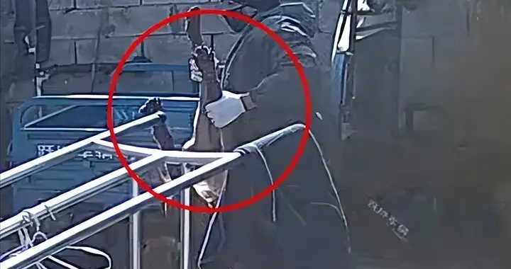 有人在宿州偷狗被抓！