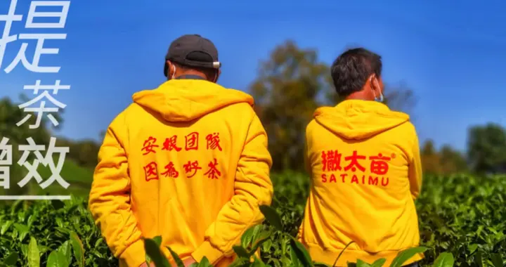 健康饮食与延缓衰老