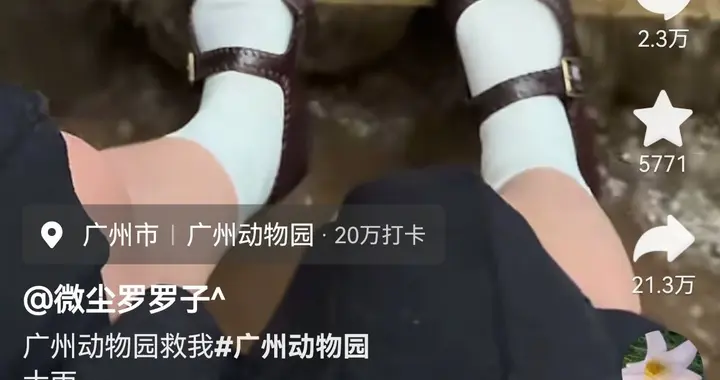 一女生穿精致小皮鞋逛广州动物园，突遇暴雨网上求助，评论笑死