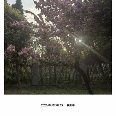 曹溪滴水：二八换子事件，许敏追查真相。追