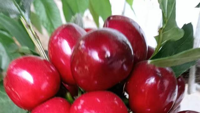 海南丹叔：领导最先想踢走的，不是混日子的