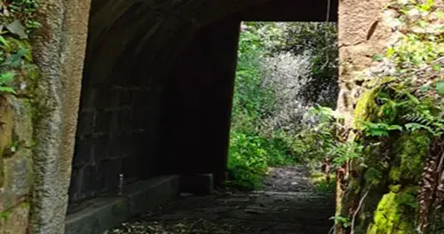 通往旌德西乡的大岭古道