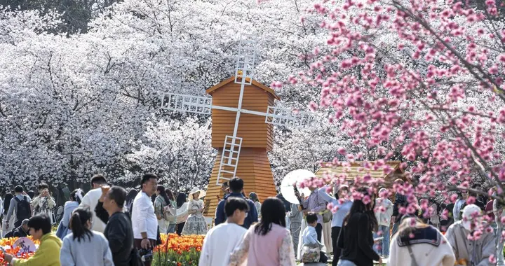 游戏、医药双赛道PK！完美世界、鹭燕医药、奥美医疗谁是更优选？