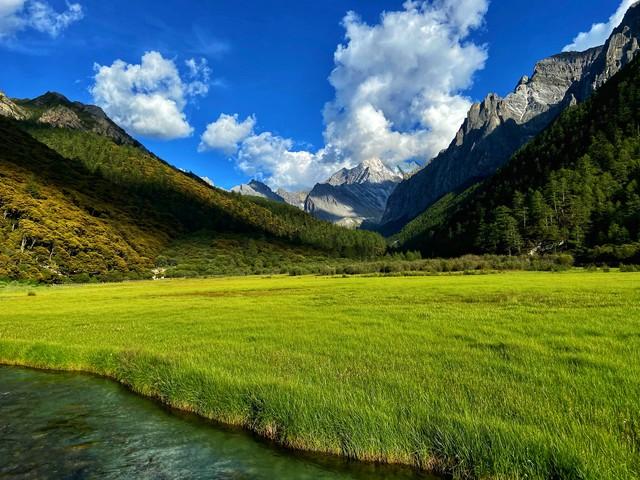 9点3亿爆文的沉思