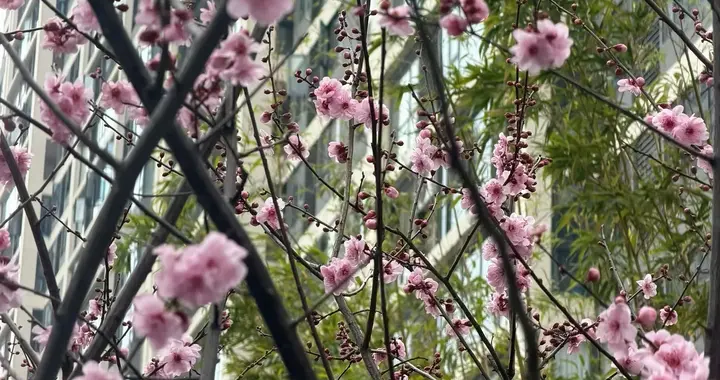 你退休后还感觉到很忙碌吗？