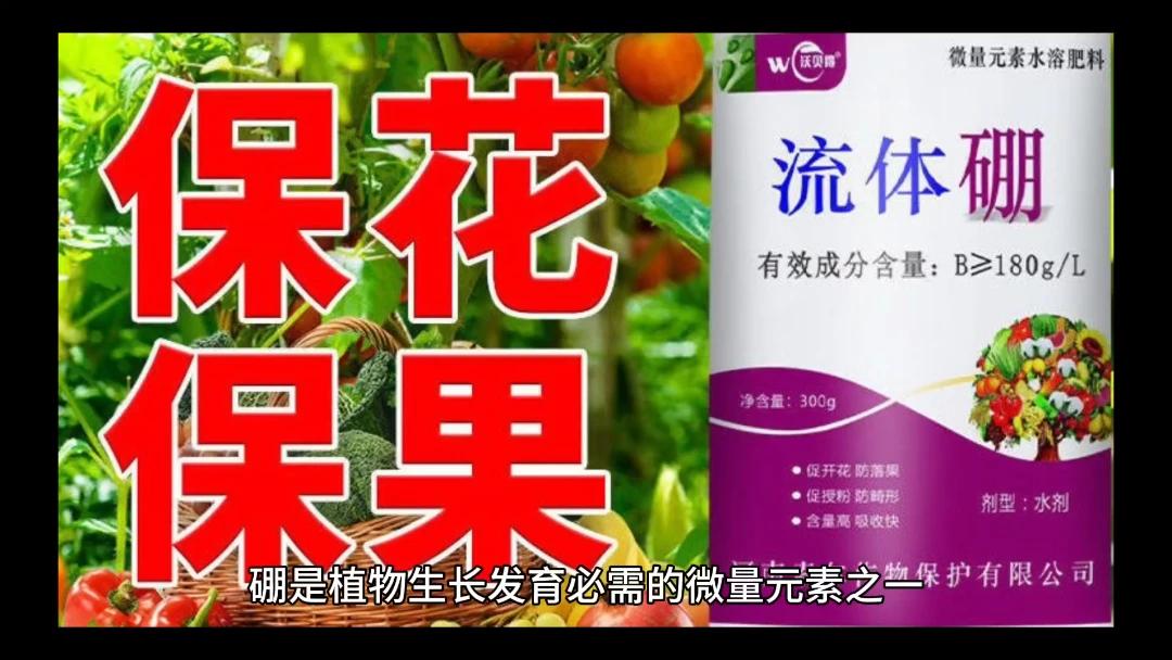 在农业生产中硼肥有几种？具体如果使用