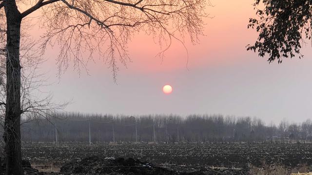 自渡成舟：判得好！恶意仅退款薅商家，终于