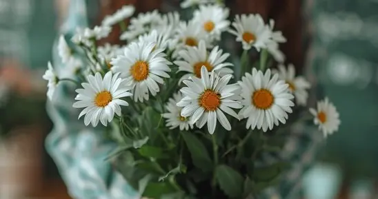 别再傻了，爱自己才是最酷的事