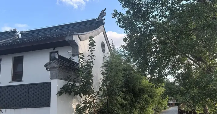 偷得浮生半日闲：午休后散步，遇见家门口的治愈风景