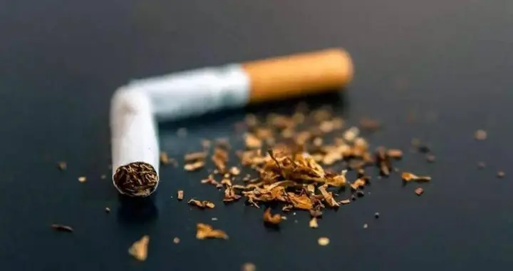 香烟暗藏玄机？中科院证实：长期低量摄入尼古丁，死亡率降低40%