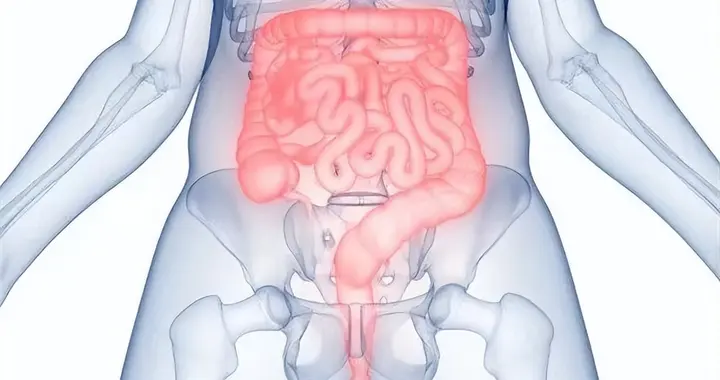 建议中老年：每天坚持吃5种食物，刮油排毒润肠道