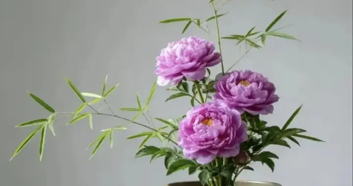 发现一个奇怪现状：越是子女没本事的家庭，父母晚年反而越热闹