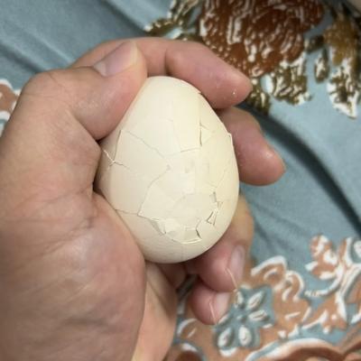 乐事集：一枚一般般不太完美的“成都地图”