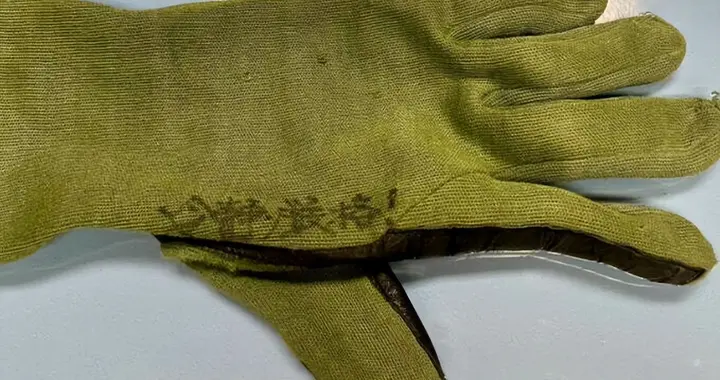 一副破旧手套，4个中文大字，日本想给自己洗白，中国不吃这一套