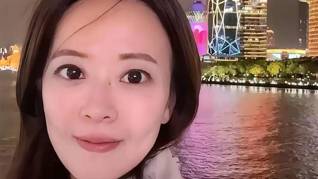 诸葛说史：4月8日晚，正随团访陆的国民党