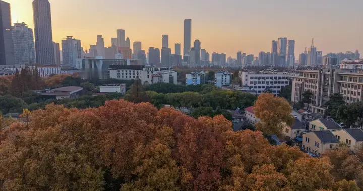 南京毗卢寺｜一场被银杏染金的秋日静心之旅