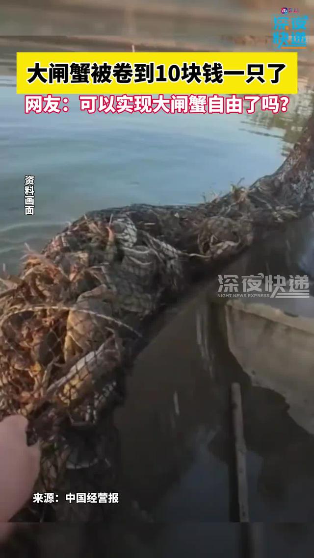 大闸蟹降价到10块钱一只，网友：可以实现大闸蟹自由了吗？