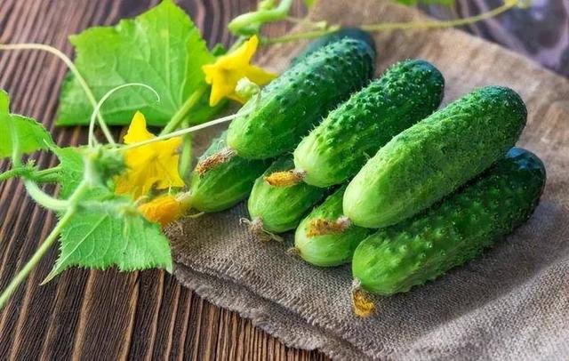 肠胃不好不能吃黄瓜？医生建议：若想肠胃健康，3种蔬菜多吃些