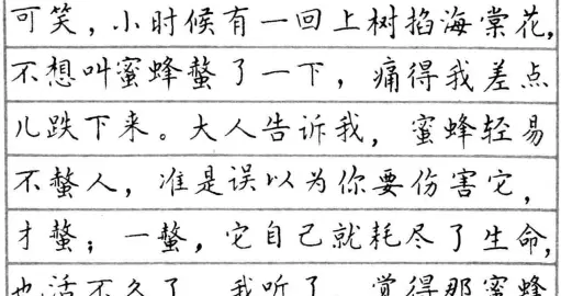 林似春钢笔正楷