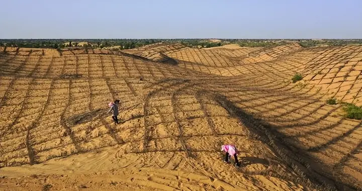 西方专家：中国又开始“反人类操作”，他们即将消灭第二个沙漠