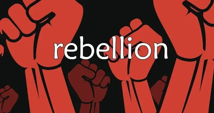 每日单词：rebellion