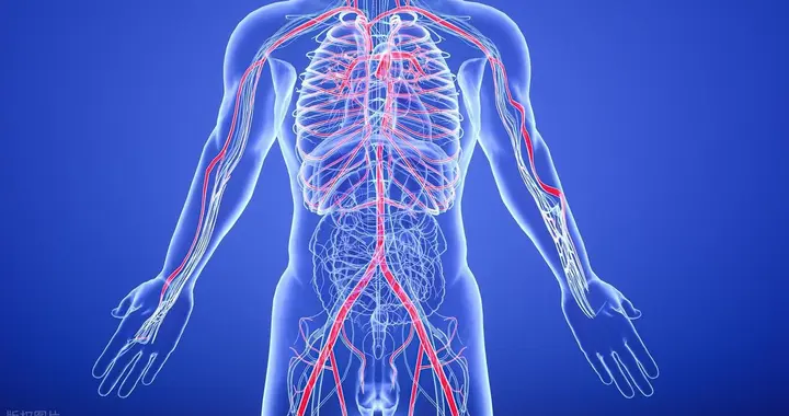 血栓预警：认清3类“堵血管”食物，守住血管健康线