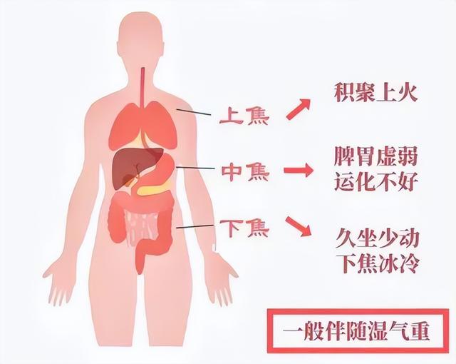 上热下寒，中焦不通，一个中成药，清上热温下寒