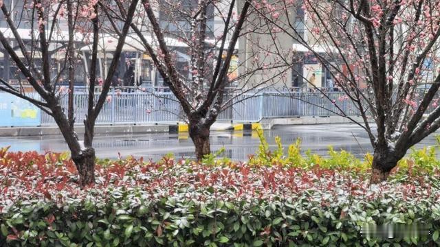 刘不醉：当下，有一小撮年轻人成天叫嚷着要