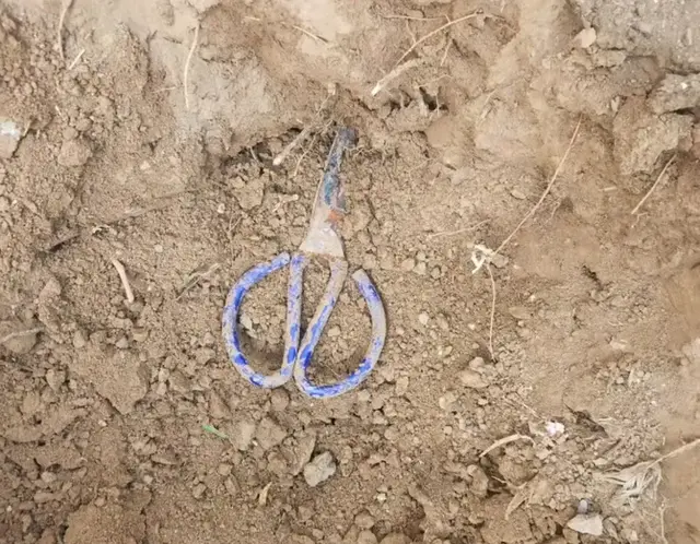 网友本想栽棵葡萄，结果挖出来一把剪刀，评论区走不出来了 吓人