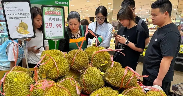 越南对华出口榴莲造假，逮捕农业副部长，只为保住中国市场