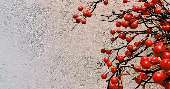 48岁，不体面也没关系，要学会在小满足里，把日子过亮