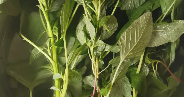 这6种食物吃不完直接倒！二次加热 = 慢性中毒，很多人还在犯傻