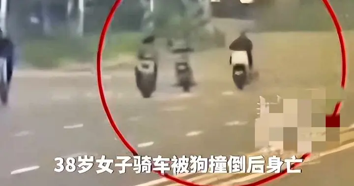 诸暨大姐通勤被恶犬咬缝17针，三千块草草了事，后续索赔直接被拒