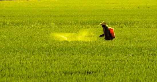 含毒农药竟还在用？这背后暴露的问题太可怕了！