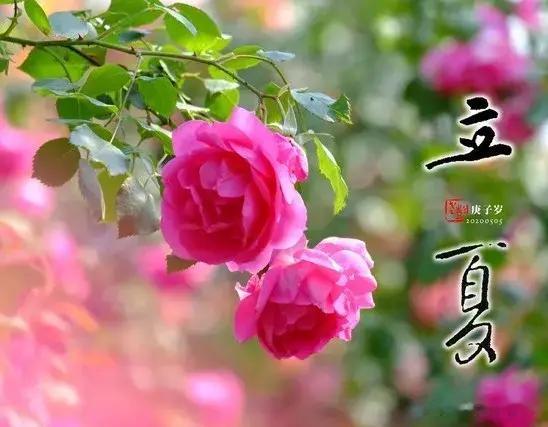立夏将至却不一般，4大特点是60年一遇，3类人要“躲夏”
