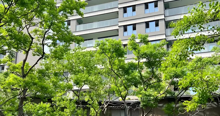 苏州四年房价回调：为何洋房抗跌性远超高层？