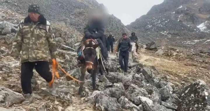 绷紧森林防火这根弦！这份春游安全攻略，请你查收