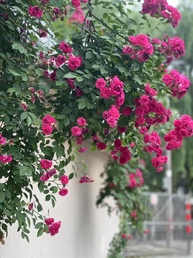 真正厉害的人，人生都是极简模式