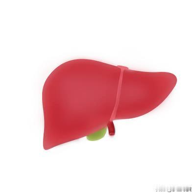 沙澧岐黄：熬夜难以入眠，多半是肝脏气血不