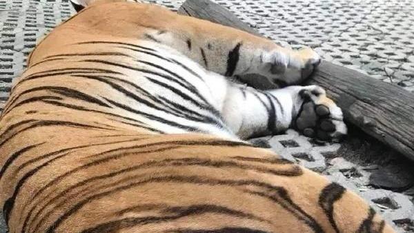 马迟迟的聊斋：《西游记》其实很污！ 你看