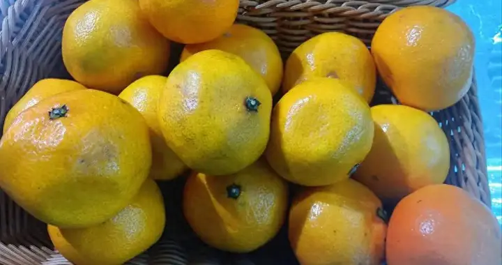 橘子立大功！医生发现：甲减患者常吃橘子，或有这 5 大好处