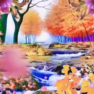 好运视频：芳华留不住，岁月已白头。愿不再