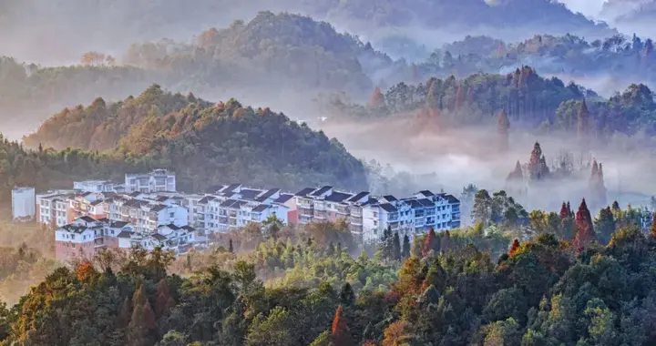 成都6个宁静村落，邂逅彩林、稻田、芦苇、草坪…景美好玩不扎堆