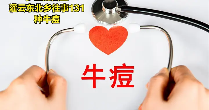 灌云东北乡往事（132）种牛痘
