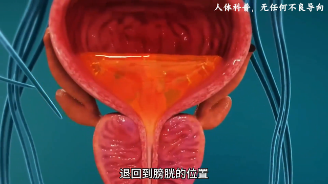 这是属于女性的专用避孕方式，估计90%%以上的小伙伴没听说过