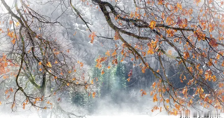 星座日运：12月4日 意外的突破